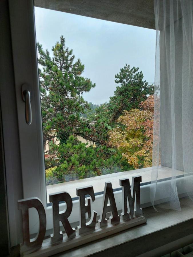 La Pineta - Delightful Small Apartment Near The City Center L'Aquila Luaran gambar